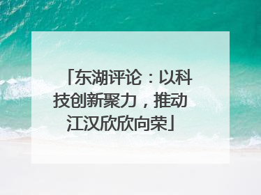 东湖评论：以科技创新聚力，推动江汉欣欣向荣