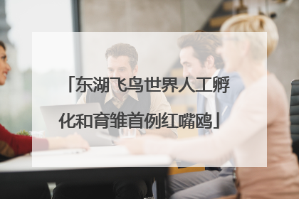 东湖飞鸟世界人工孵化和育雏首例红嘴鸥