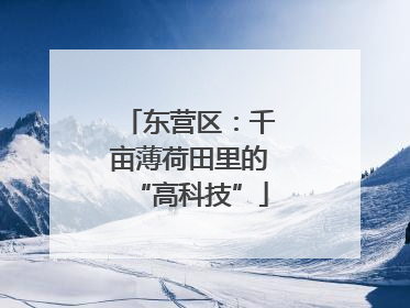 东营区：千亩薄荷田里的“高科技”