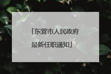 东营市人民政府最新任职通知