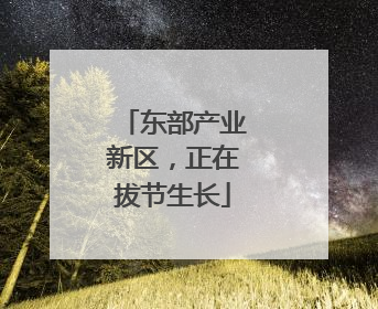 东部产业新区，正在拔节生长