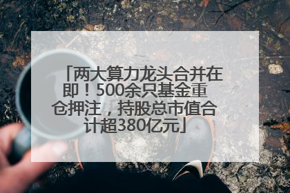 两大算力龙头合并在即！500余只基金重仓押注，持股总市值合计超380亿元