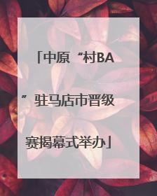 中原“村BA”驻马店市晋级赛揭幕式举办