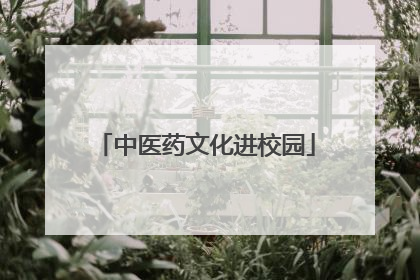 中医药文化进校园