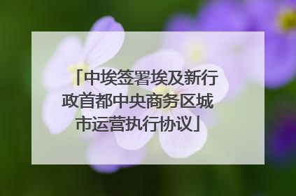 中埃签署埃及新行政首都中央商务区城市运营执行协议