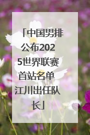 中国男排公布2025世界联赛首站名单 江川出任队长