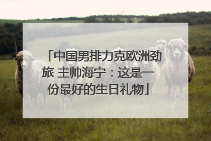 中国男排力克欧洲劲旅 主帅海宁：这是一份最好的生日礼物