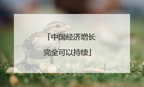 中国经济增长完全可以持续