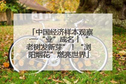 中国经济样本观察·一“业”成名丨“老树发新芽”！“浏阳烟花”燃亮世界
