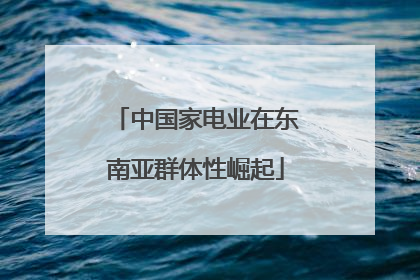 中国家电业在东南亚群体性崛起