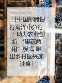 中国邮储银行菏泽市分行：助力农业创新 “果蔬两用”模式 跑出乡村振兴加速度