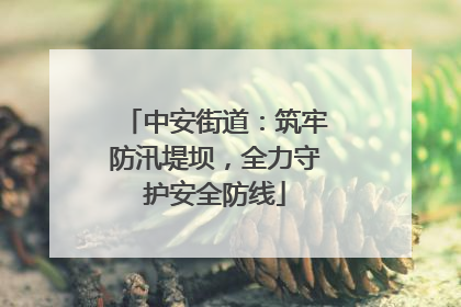 中安街道：筑牢防汛堤坝，全力守护安全防线