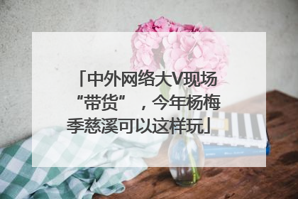 中外网络大V现场“带货”，今年杨梅季慈溪可以这样玩