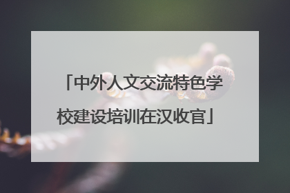 中外人文交流特色学校建设培训在汉收官