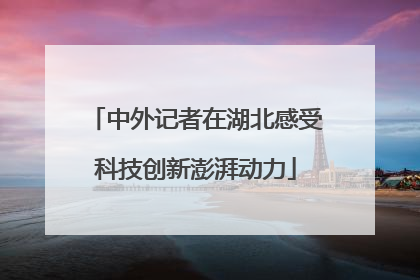 中外记者在湖北感受科技创新澎湃动力