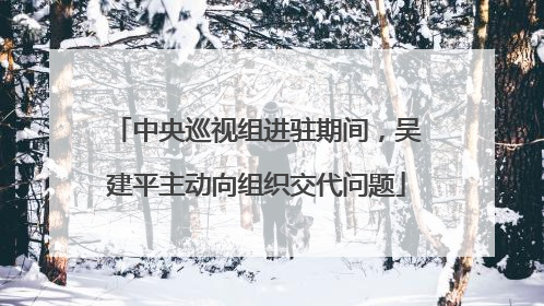 中央巡视组进驻期间，吴建平主动向组织交代问题