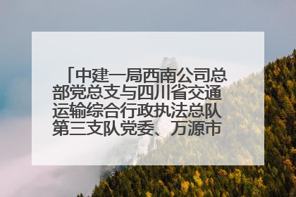 中建一局西南公司总部党总支与四川省交通运输综合行政执法总队第三支队党委、万源市草坝镇莲花院村党支部开展党建联建