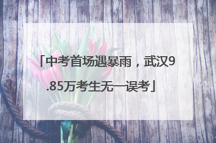 中考首场遇暴雨，武汉9.85万考生无一误考