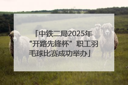 中铁二局2025年“开路先锋杯”职工羽毛球比赛成功举办