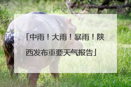 中雨！大雨！暴雨！陕西发布重要天气报告