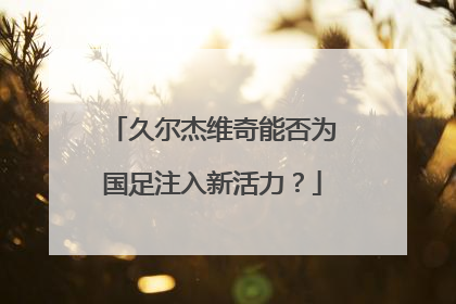 久尔杰维奇能否为国足注入新活力？