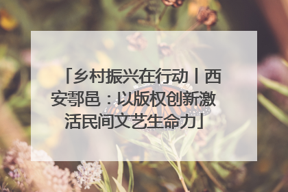 乡村振兴在行动丨西安鄠邑：以版权创新激活民间文艺生命力