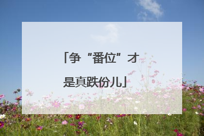 争“番位”才是真跌份儿