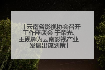 云南省影视协会召开工作座谈会 于荣光、王砚辉为云南影视产业发展出谋划策