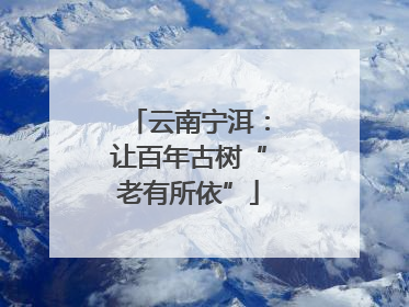 云南宁洱：让百年古树“老有所依”