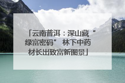 云南普洱：深山藏“绿富密码” 林下中药材长出致富新图景