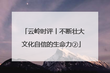 云岭时评丨不断壮大文化自信的生命力②
