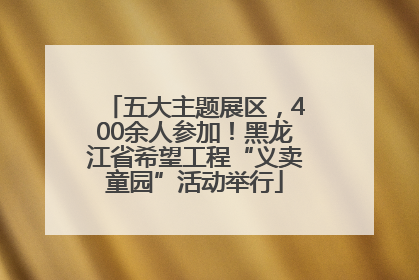 五大主题展区，400余人参加！黑龙江省希望工程“义卖童园”活动举行