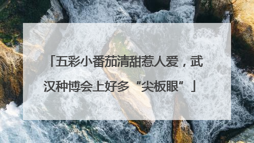 五彩小番茄清甜惹人爱，武汉种博会上好多“尖板眼”