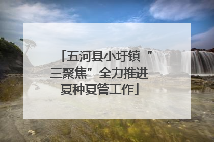 五河县小圩镇“三聚焦”全力推进夏种夏管工作
