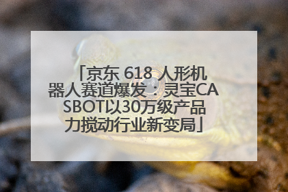 京东 618 人形机器人赛道爆发：灵宝CASBOT以30万级产品力搅动行业新变局