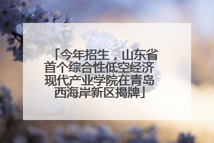 今年招生，山东省首个综合性低空经济现代产业学院在青岛西海岸新区揭牌