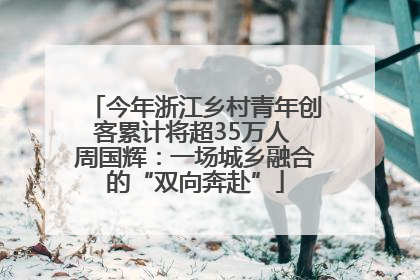 今年浙江乡村青年创客累计将超35万人 周国辉：一场城乡融合的“双向奔赴”