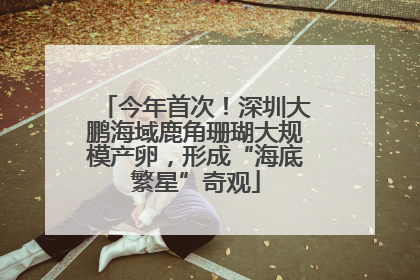 今年首次！深圳大鹏海域鹿角珊瑚大规模产卵，形成“海底繁星”奇观