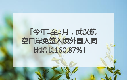 今年1至5月，武汉航空口岸免签入境外国人同比增长160.87%