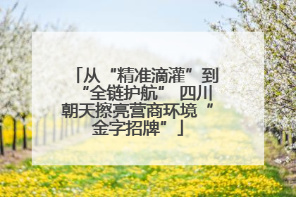 从“精准滴灌”到“全链护航” 四川朝天擦亮营商环境“金字招牌”