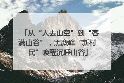 从“人去山空”到“客满山谷”，黑麋峰“新村民”唤醒沉睡山谷