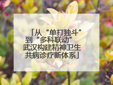 从“单打独斗”到“多科联动” 武汉构建精神卫生共病诊疗新体系