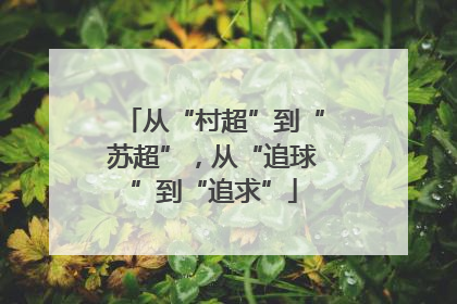 从“村超”到“苏超”，从“追球”到“追求”