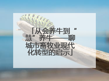 从会养牛到“慧”养牛——聊城市畜牧业现代化转型的启示