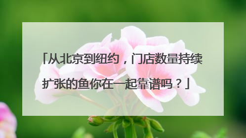 从北京到纽约，门店数量持续扩张的鱼你在一起靠谱吗？