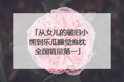 从女儿的破旧小熊到乐瓜睡觉抱枕全国销量第一
