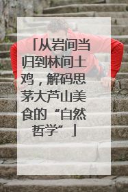 从岩间当归到林间土鸡，解码思茅大芦山美食的“自然哲学”
