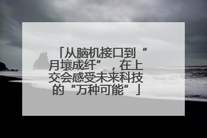 从脑机接口到“月壤成纤”，在上交会感受未来科技的“万种可能”