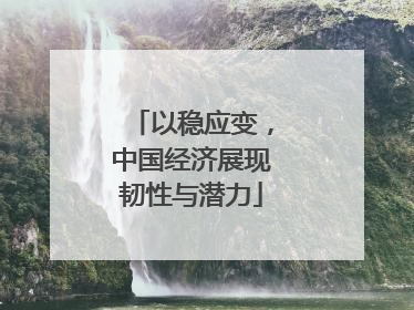 以稳应变，中国经济展现韧性与潜力