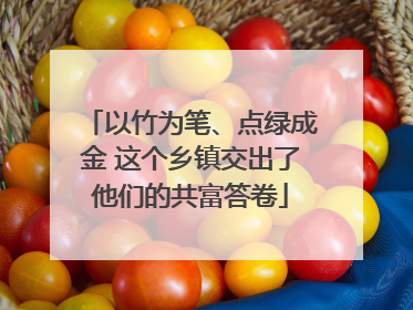 以竹为笔、点绿成金 这个乡镇交出了他们的共富答卷